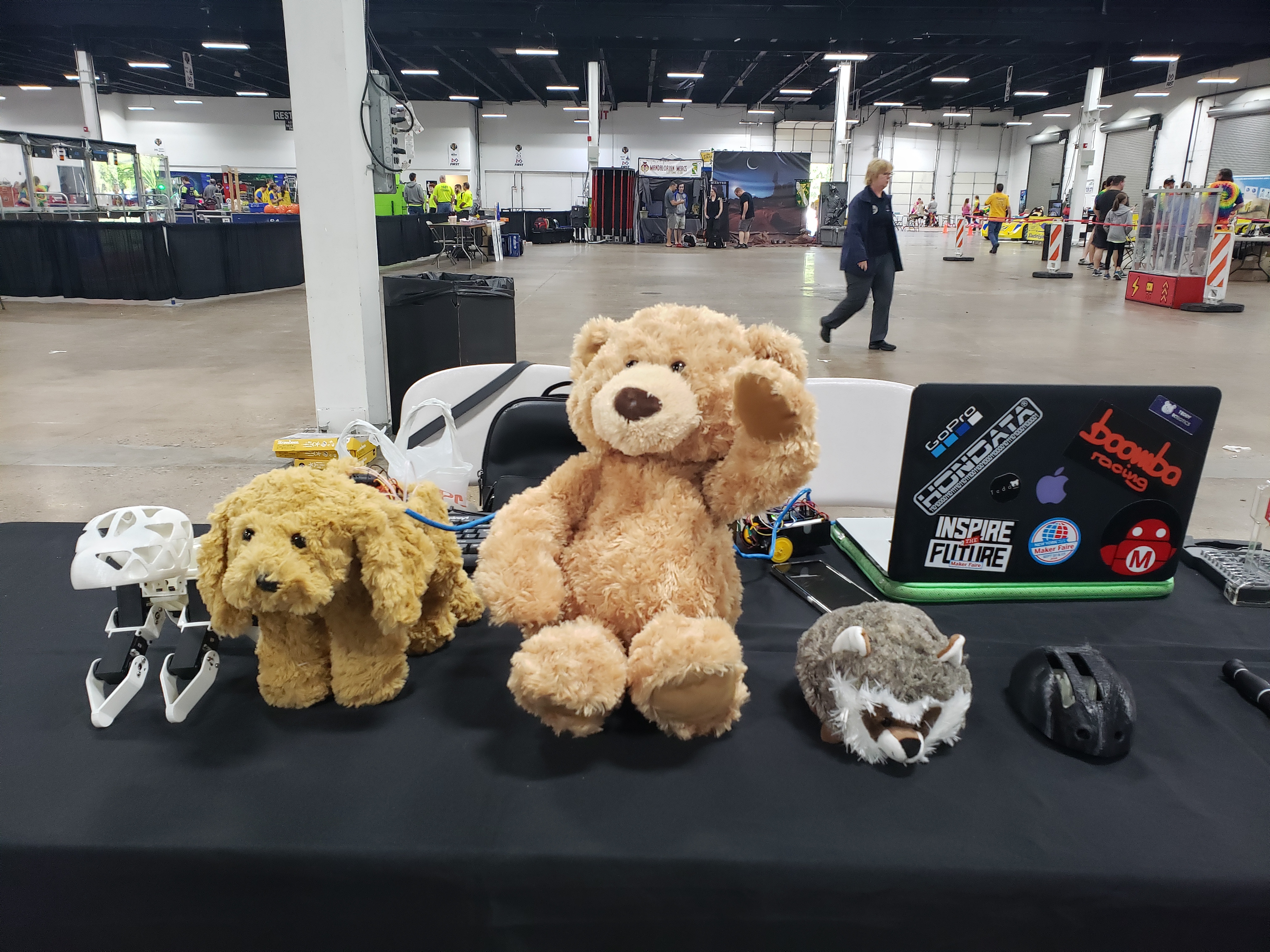 Teddy Robotics project image