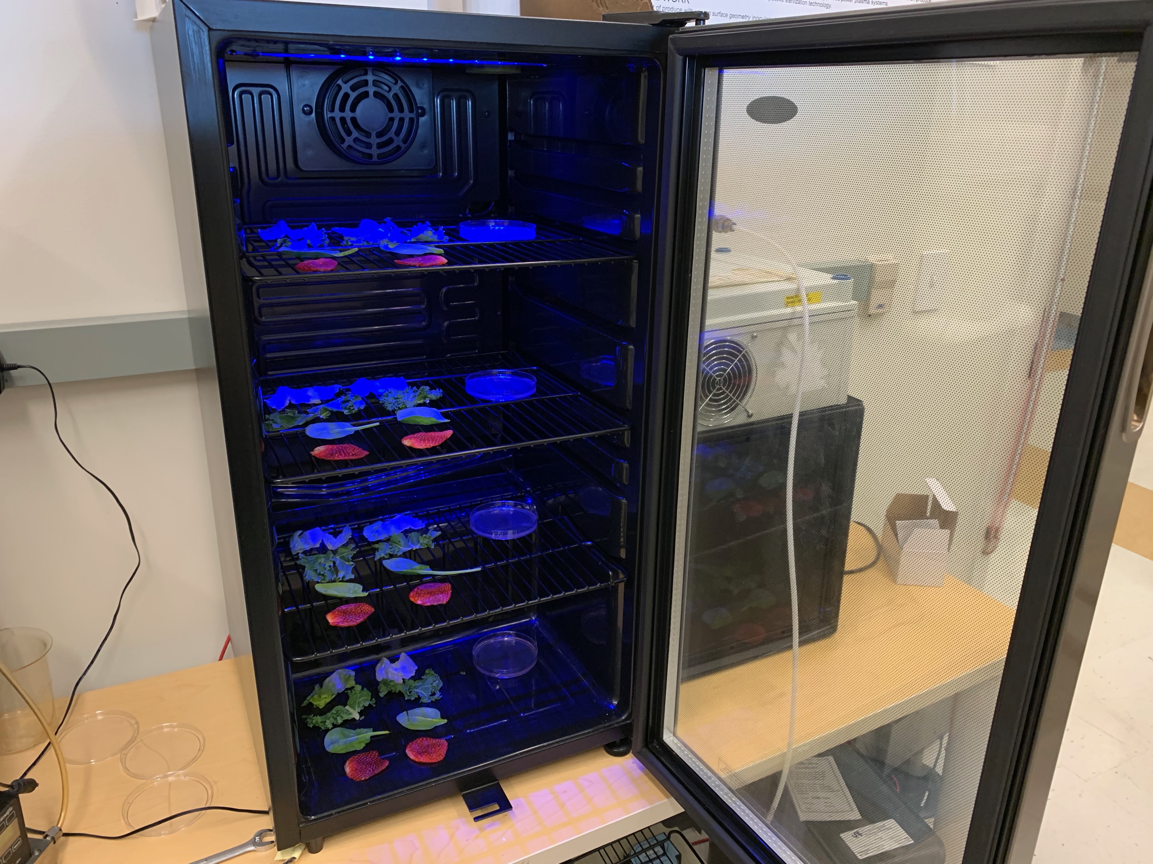 Cold plasma in food safety project image