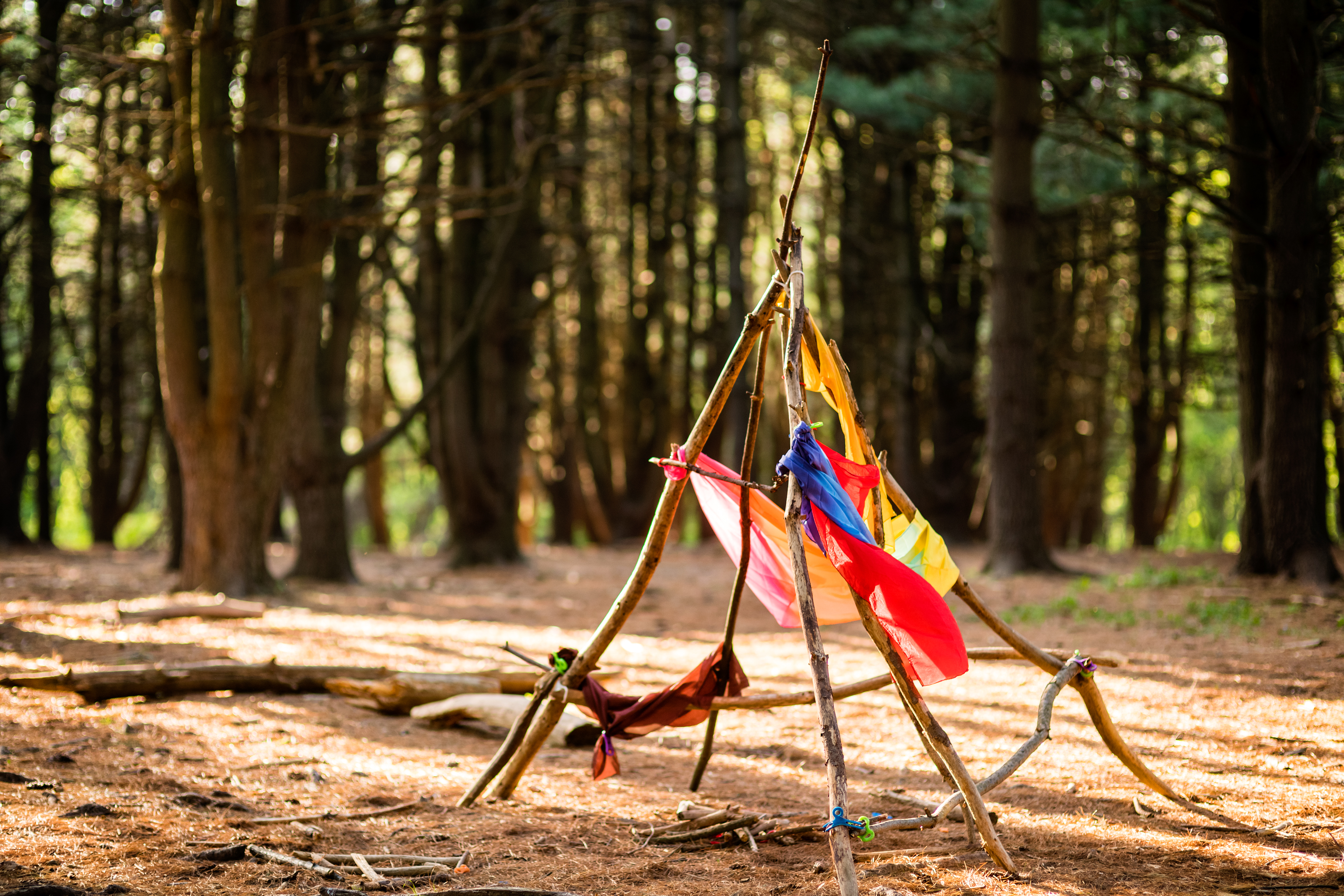 Fort Building with STICK-LETS® project image