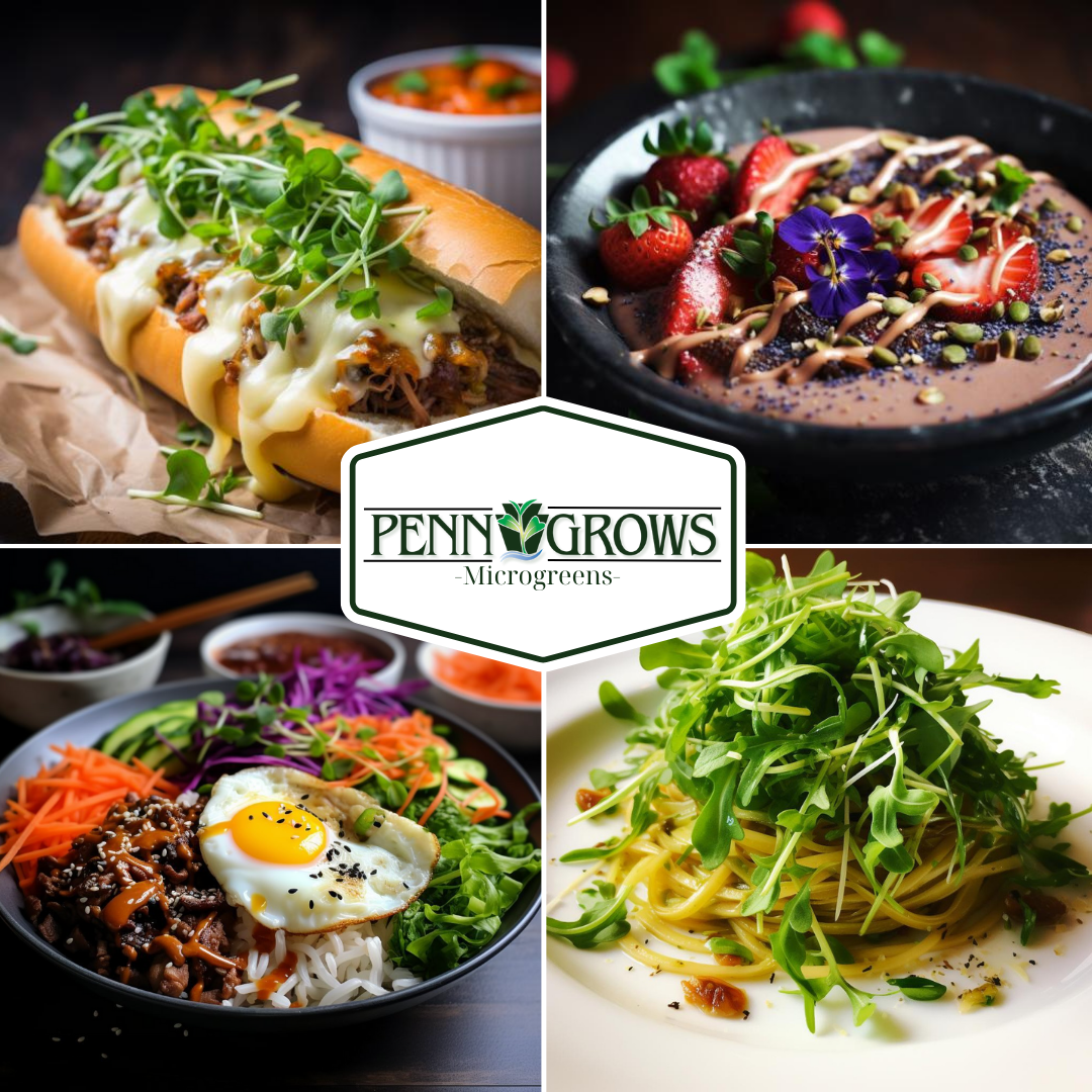 Penn Grows Microgreens project image