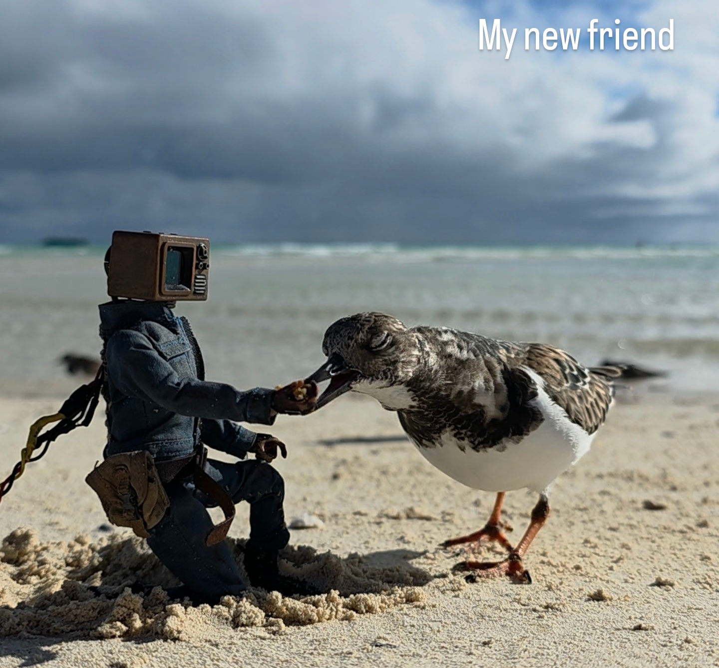 WASTEWORLD TOYS - exhibit detail 5