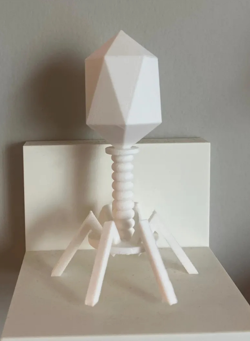 Eclectiprint - exhibit detail 5