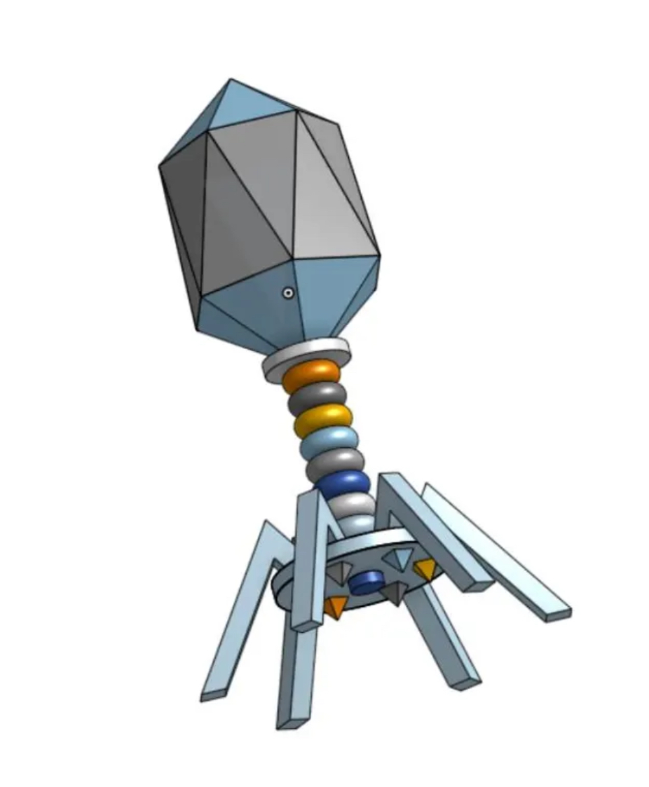 Eclectiprint - exhibit detail 6